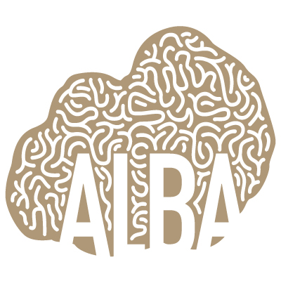 concept and graphic design for the visual identity of Alba - Creative City Unesco